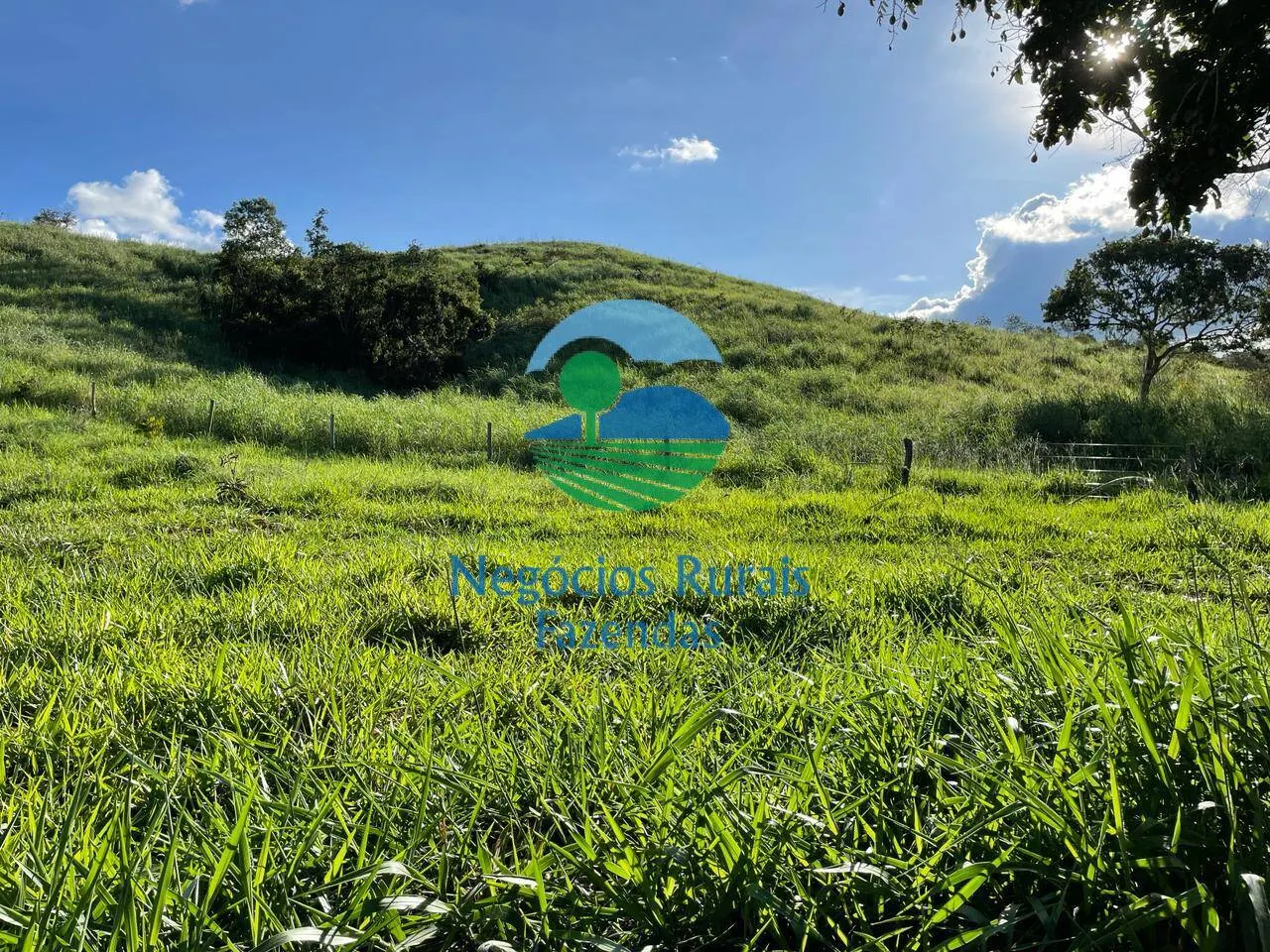 Fazenda à venda de 145 ha em Campinaçu, GO, Brasil
