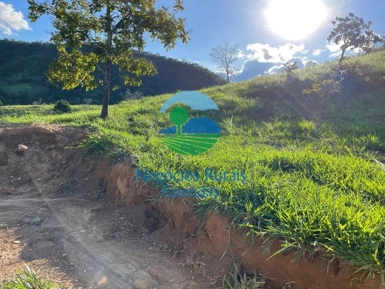 Fazenda à venda de 145 ha em Campinaçu, GO, Brasil