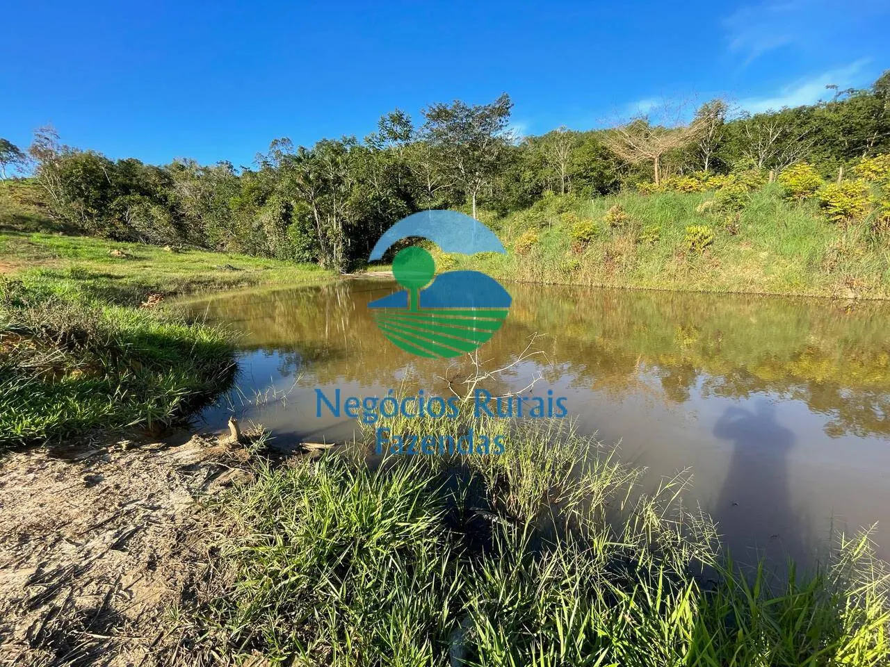 Fazenda à venda de 145 ha em Campinaçu, GO, Brasil