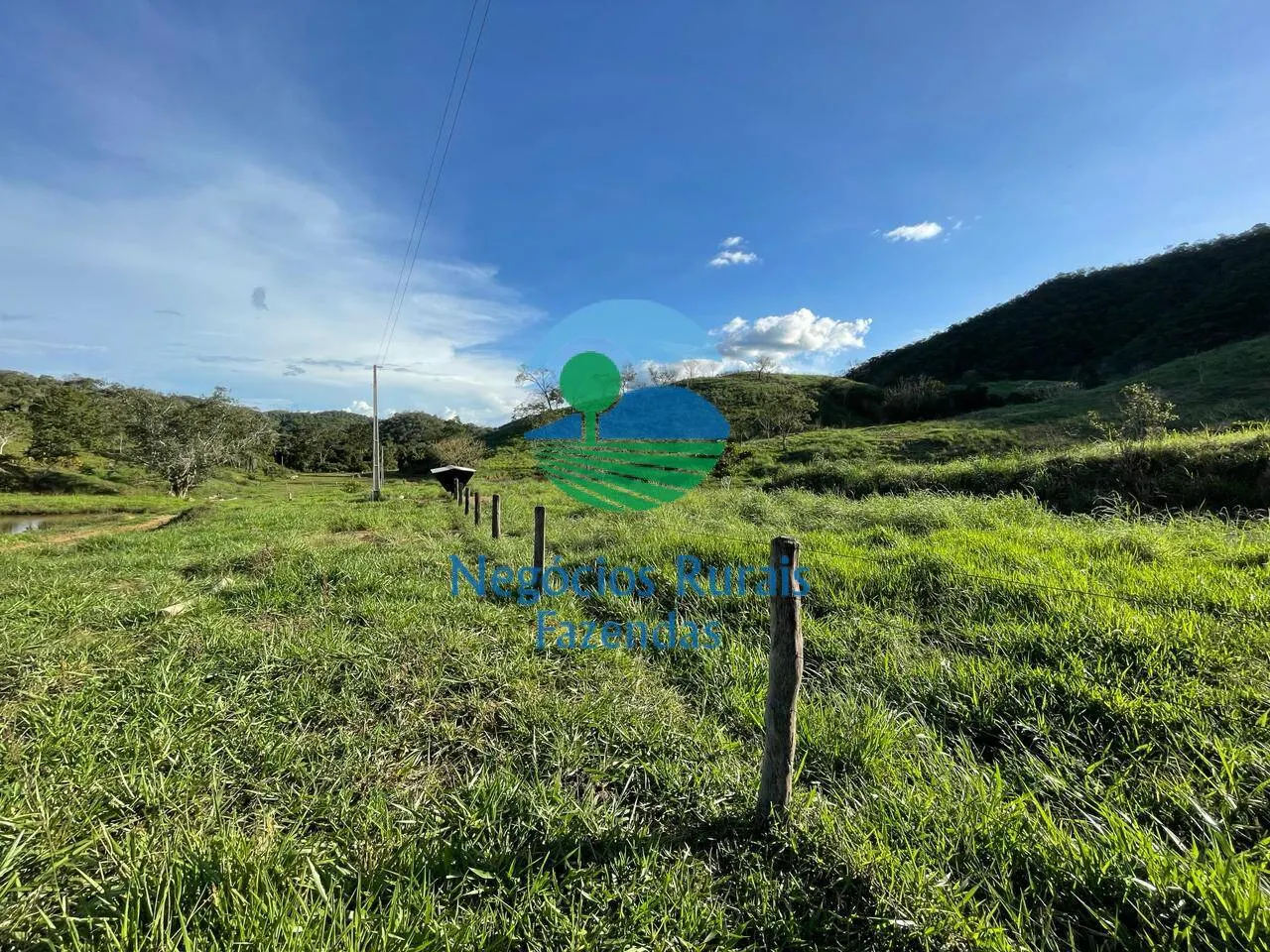 Fazenda à venda de 145 ha em Campinaçu, GO, Brasil