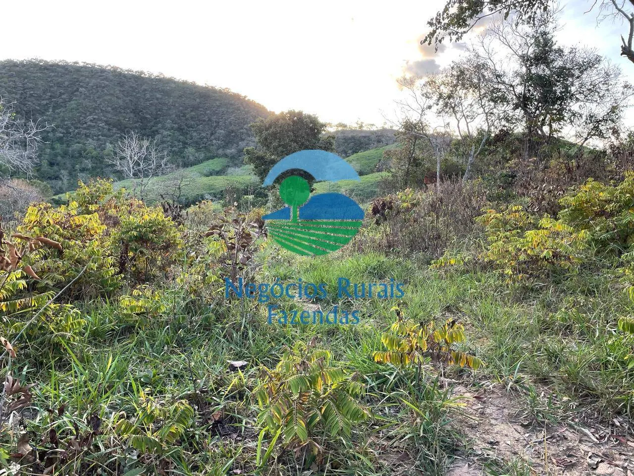 Fazenda à venda de 145 ha em Campinaçu, GO, Brasil