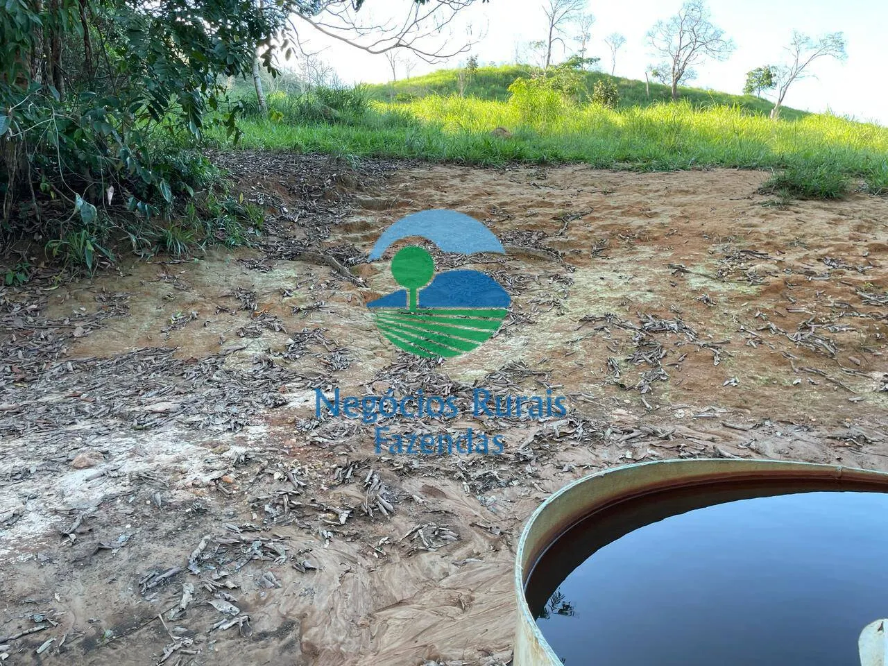 Fazenda à venda de 145 ha em Campinaçu, GO, Brasil
