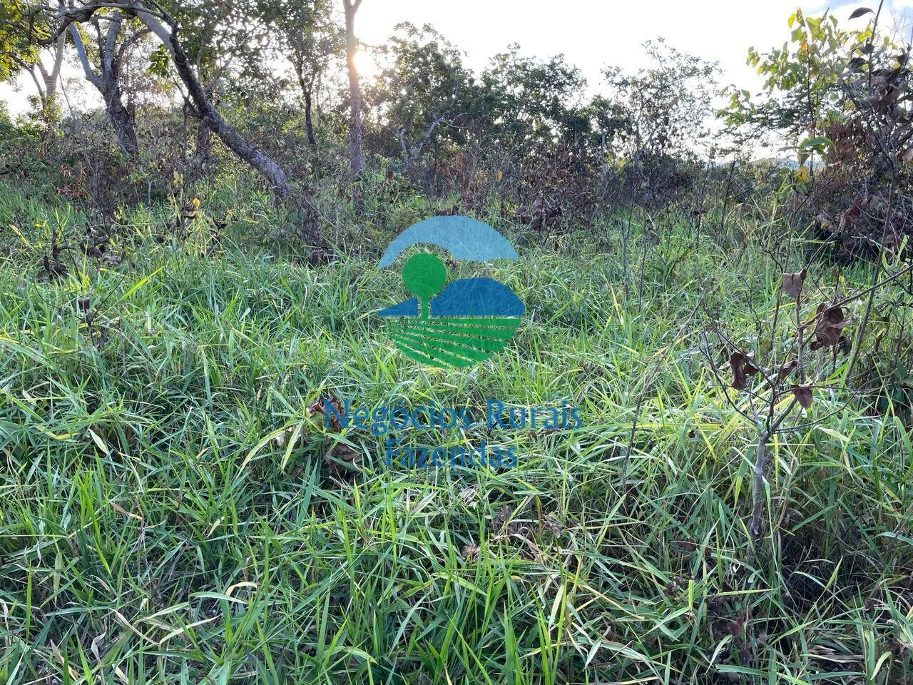 Fazenda à venda de 145 ha em Campinaçu, GO, Brasil
