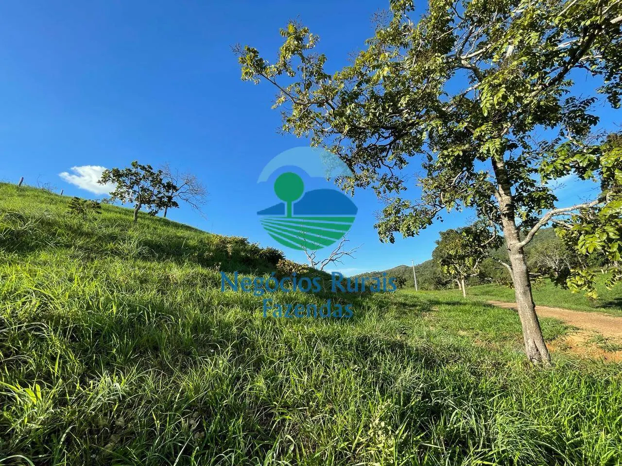 Fazenda à venda de 145 ha em Campinaçu, GO, Brasil
