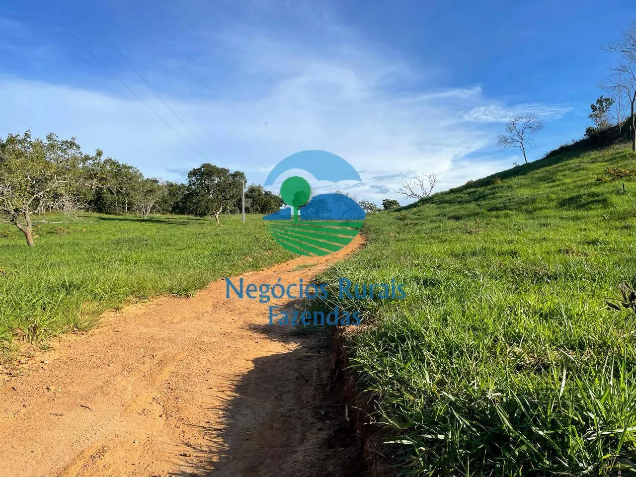 Fazenda à venda de 145 ha em Campinaçu, GO, Brasil