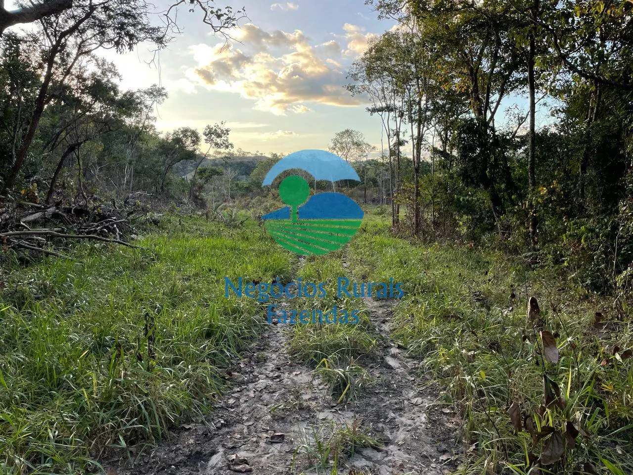 Fazenda à venda de 145 ha em Campinaçu, GO, Brasil