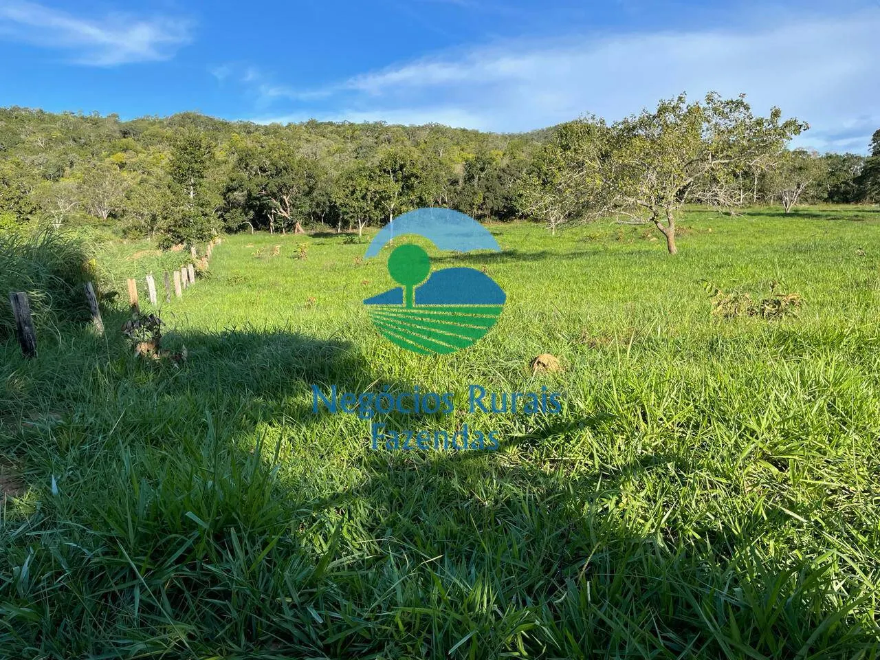 Fazenda à venda de 145 ha em Campinaçu, GO, Brasil
