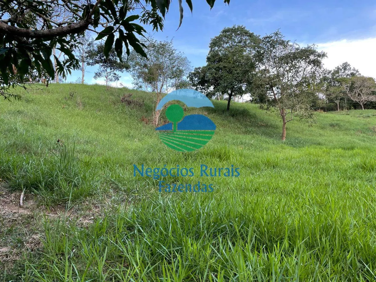 Fazenda à venda de 145 ha em Campinaçu, GO, Brasil