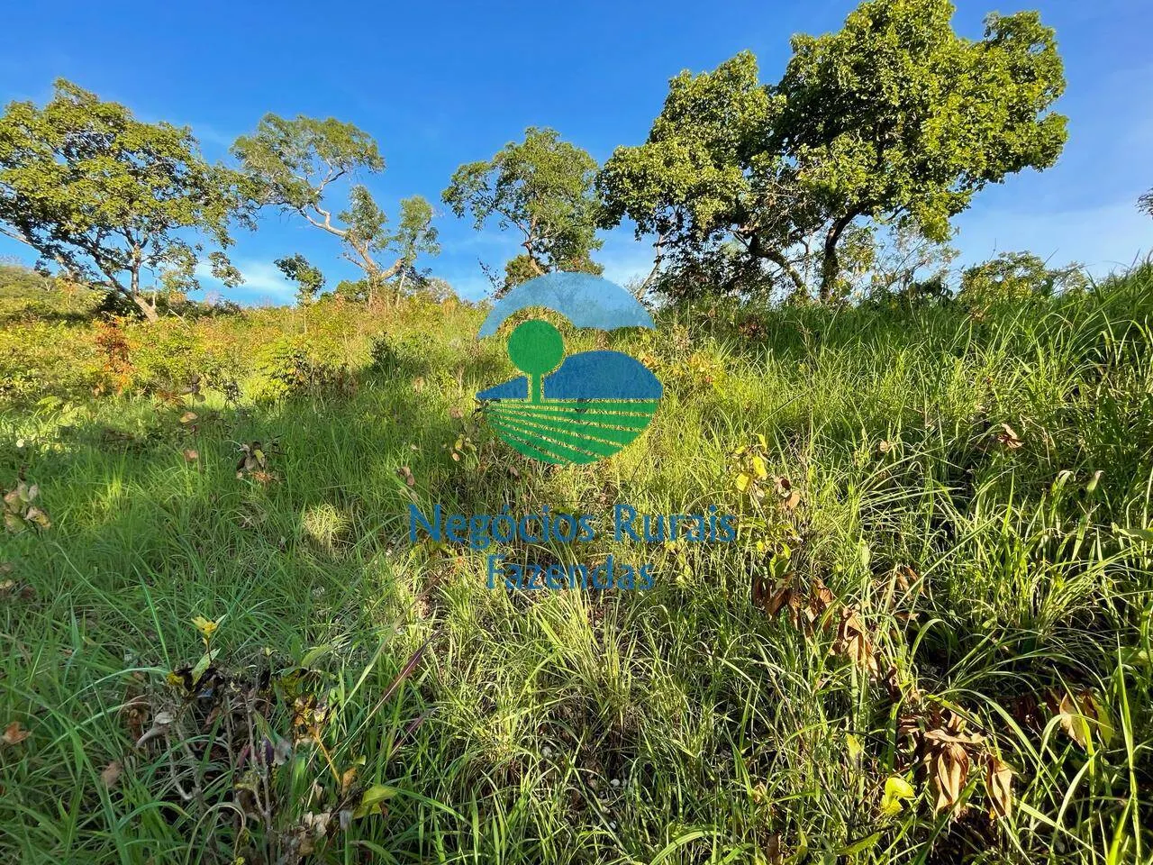 Fazenda à venda de 145 ha em Campinaçu, GO, Brasil