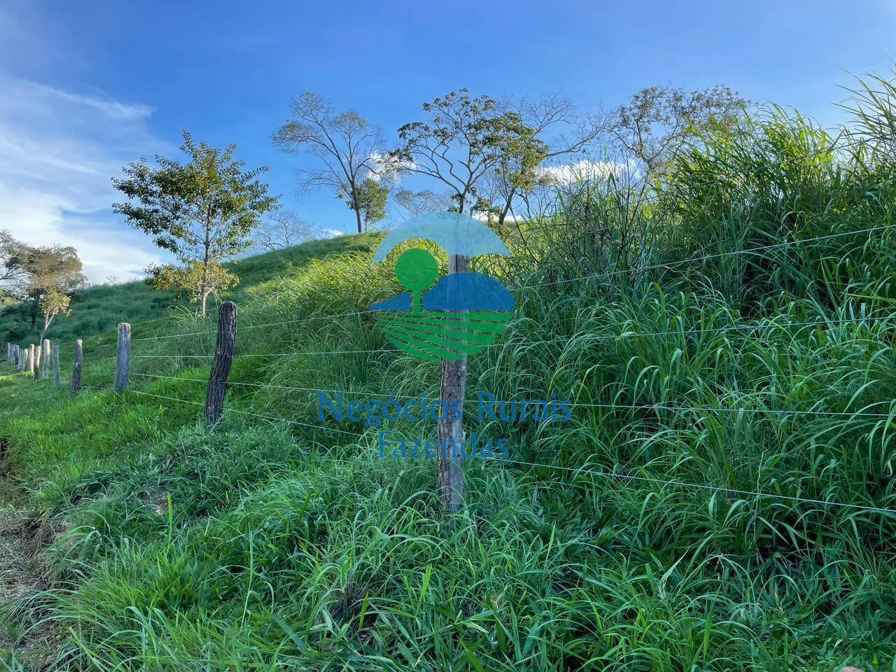 Fazenda à venda de 145 ha em Campinaçu, GO, Brasil