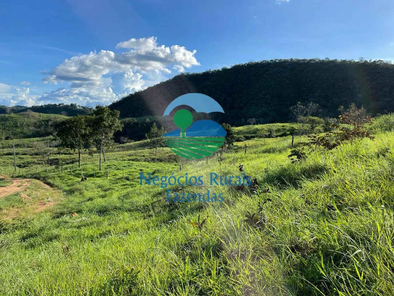 Fazenda à venda de 145 ha em Campinaçu, GO, Brasil