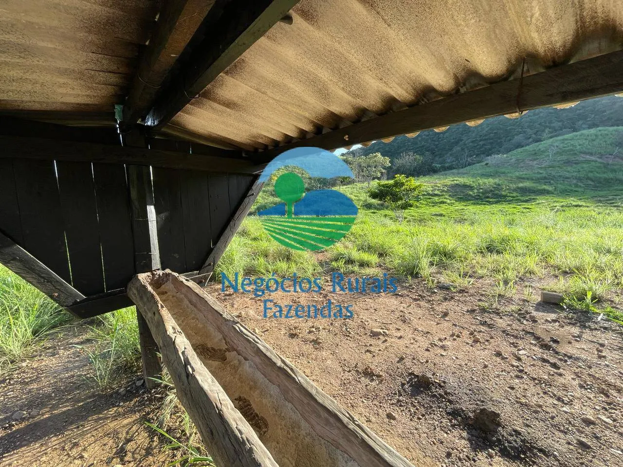 Fazenda à venda de 145 ha em Campinaçu, GO, Brasil