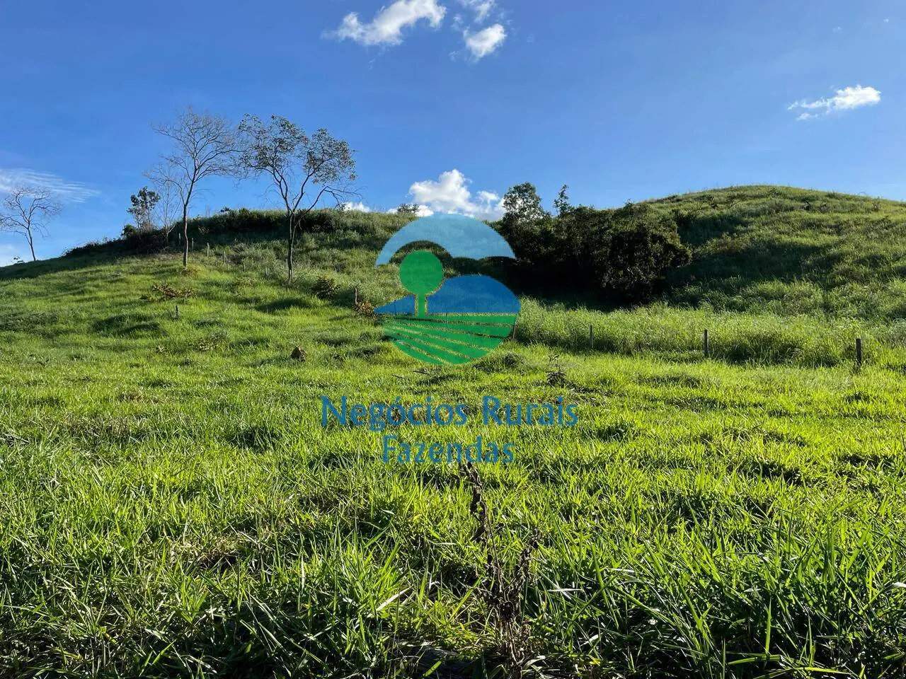 Fazenda à venda de 145 ha em Campinaçu, GO, Brasil