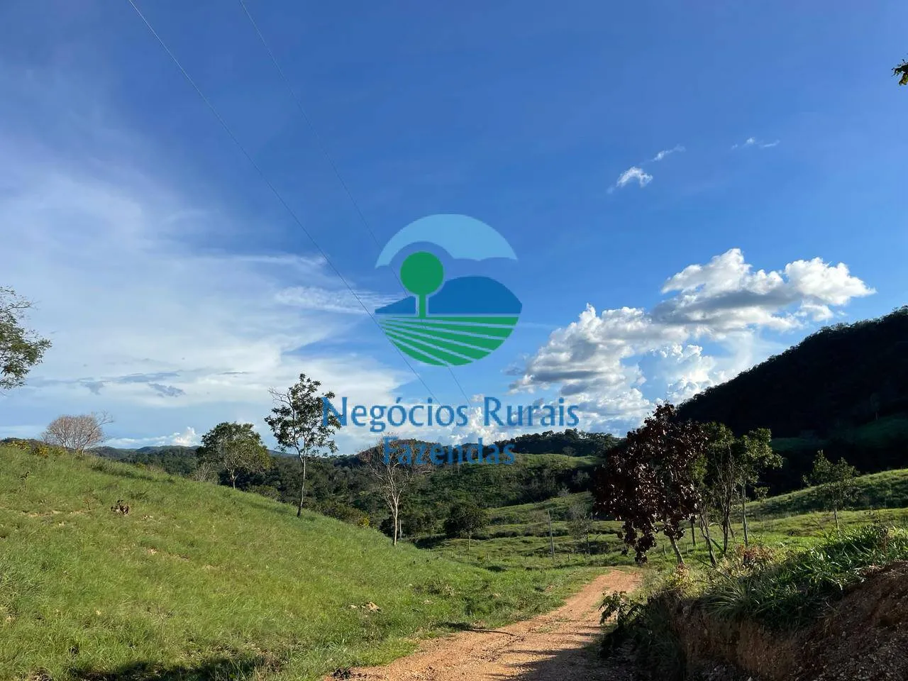 Fazenda à venda de 145 ha em Campinaçu, GO, Brasil