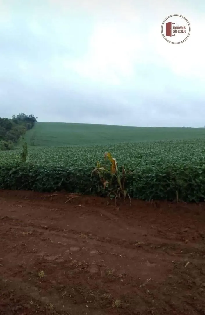 Fazenda à venda de 119 ha em Itapetininga, SP, Brasil