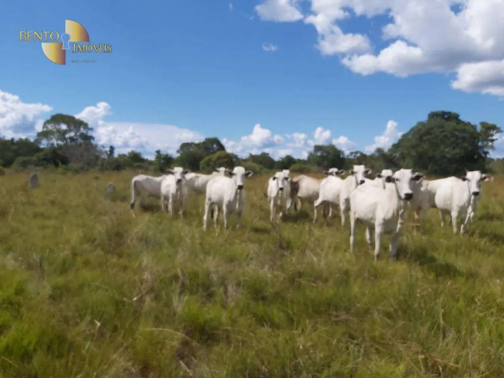 Fazenda à venda de 3.800 ha em Poconé, MT, Brasil