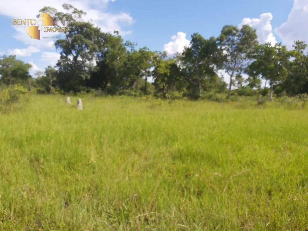 Fazenda à venda de 3.800 ha em Poconé, MT, Brasil