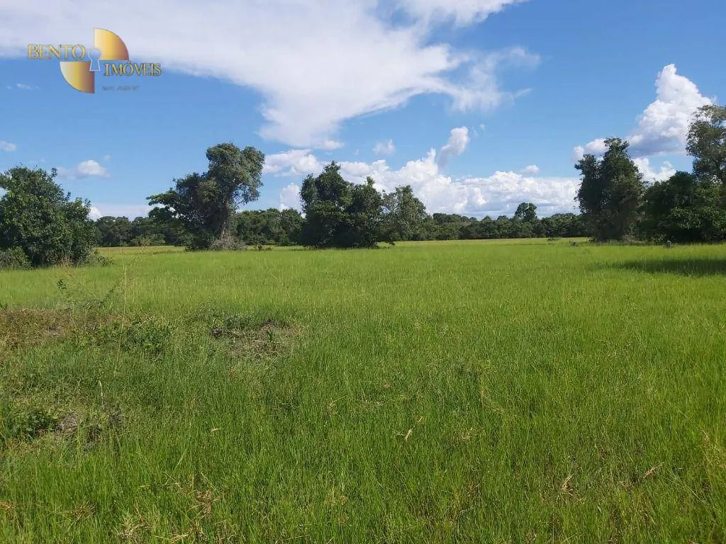 Fazenda à venda de 3.800 ha em Poconé, MT, Brasil