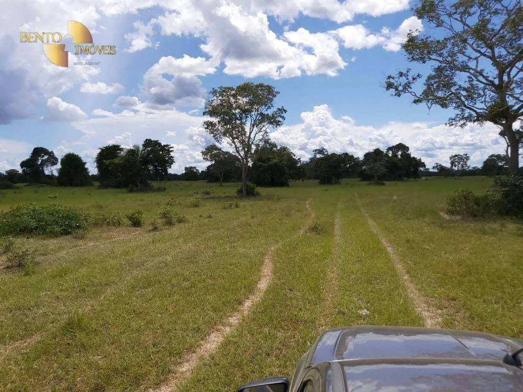 Fazenda à venda de 3.800 ha em Poconé, MT, Brasil