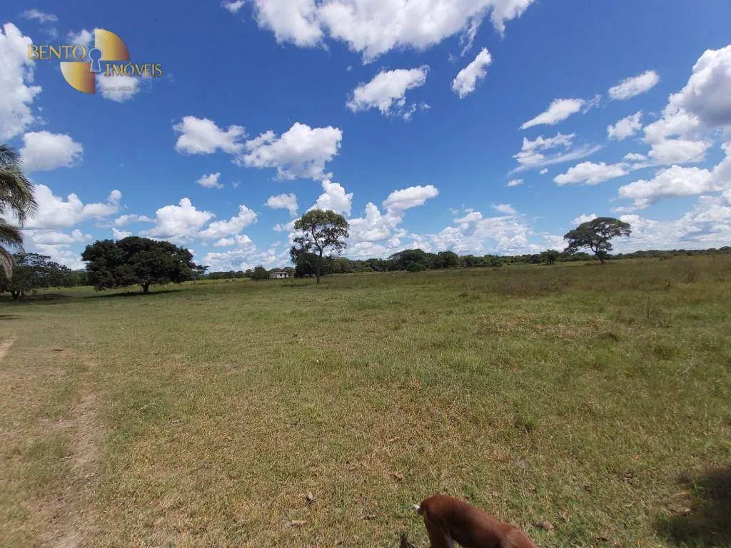 Fazenda à venda de 3.800 ha em Poconé, MT, Brasil