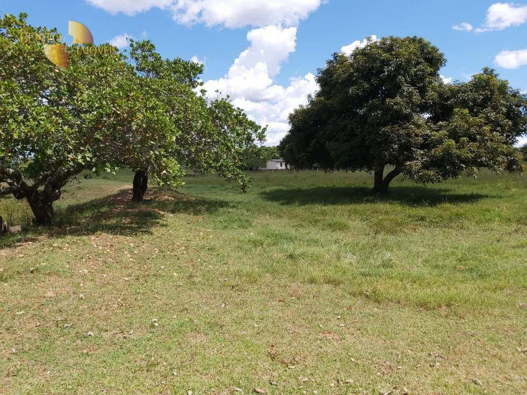 Fazenda à venda de 3.800 ha em Poconé, MT, Brasil