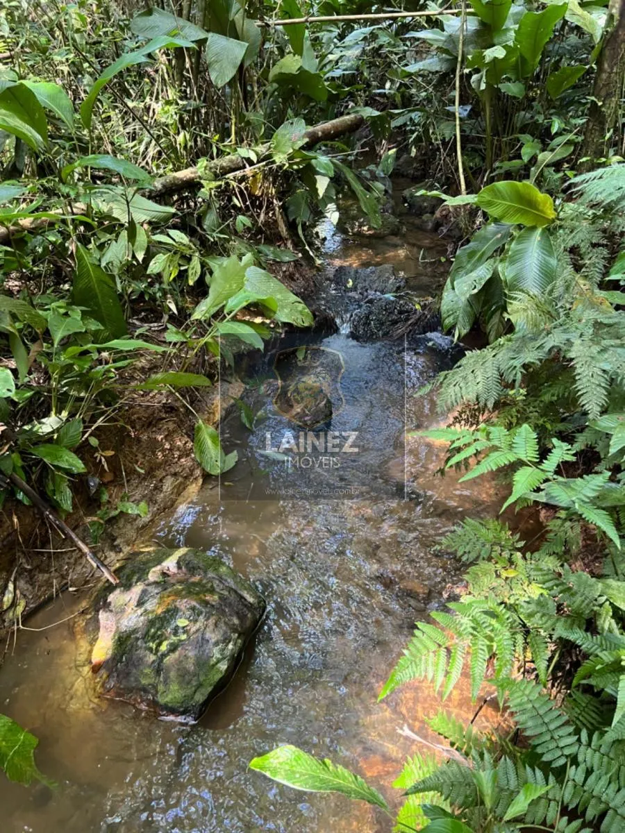 Fazenda à venda de 97 ha em Juquitiba, SP, Brasil