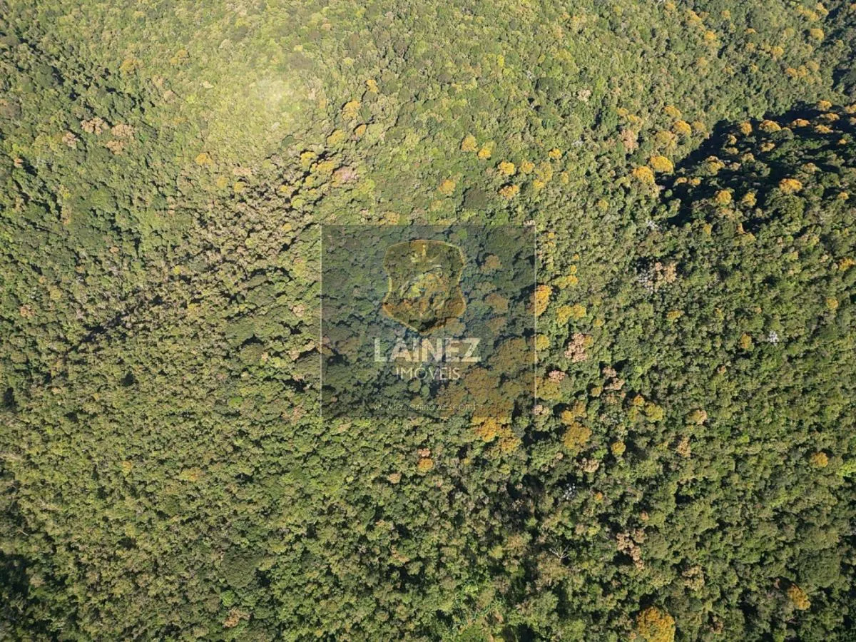 Fazenda à venda de 97 ha em Juquitiba, SP, Brasil