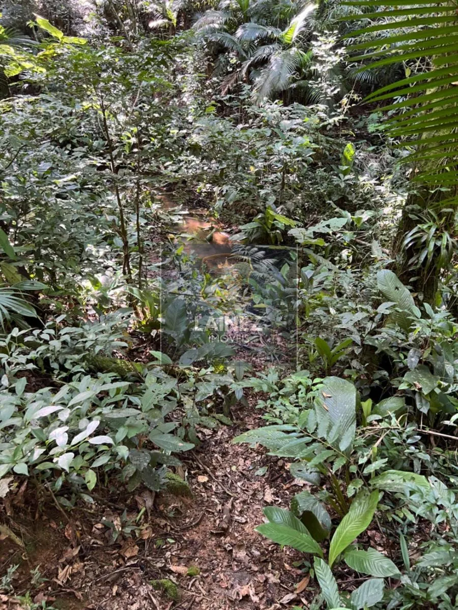 Fazenda à venda de 97 ha em Juquitiba, SP, Brasil