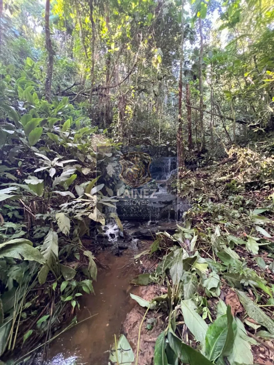 Fazenda à venda de 97 ha em Juquitiba, SP, Brasil