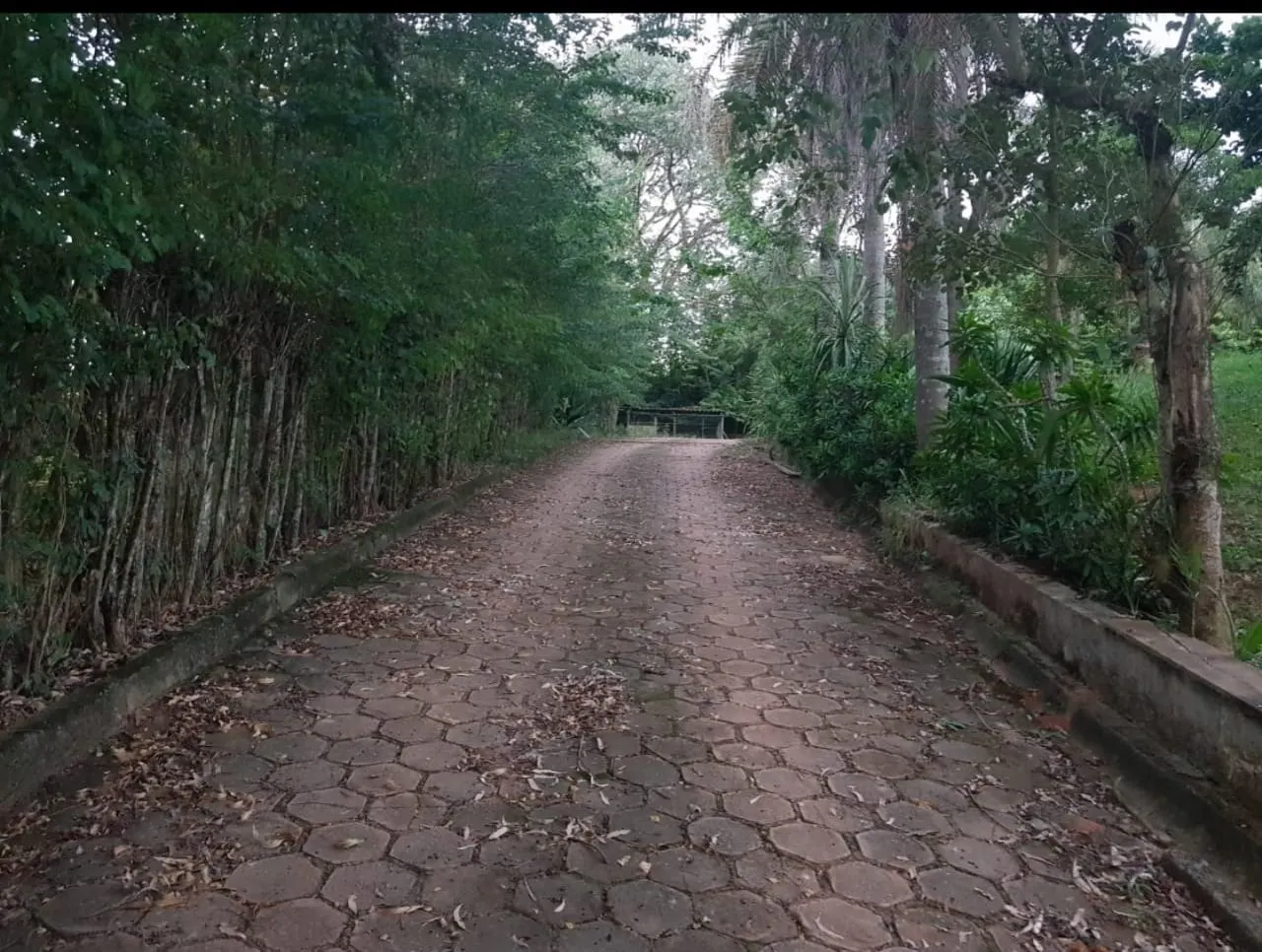 Chácara à venda de 6.000 m² em Atibaia, SP, Brasil