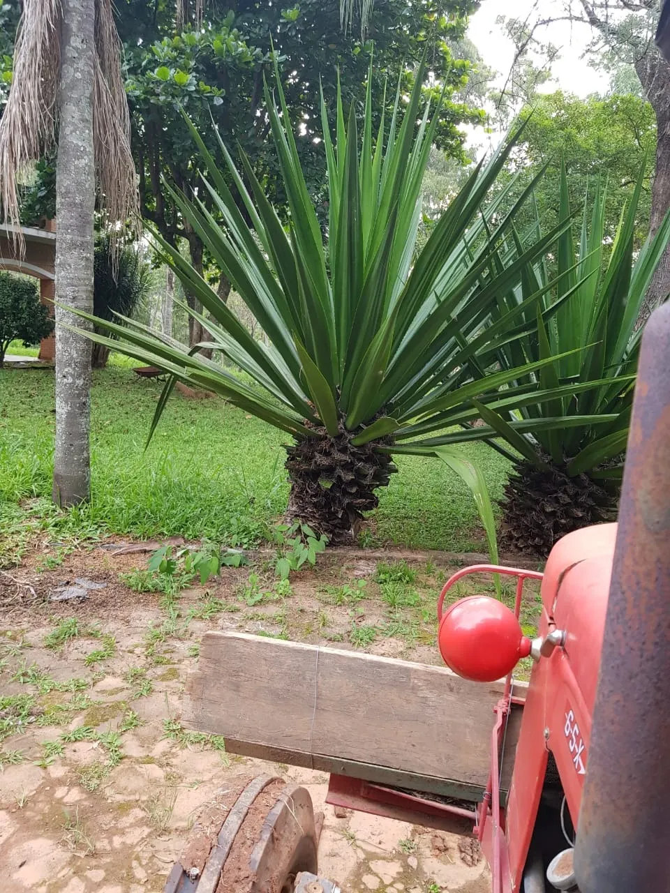Chácara à venda de 6.000 m² em Atibaia, SP, Brasil