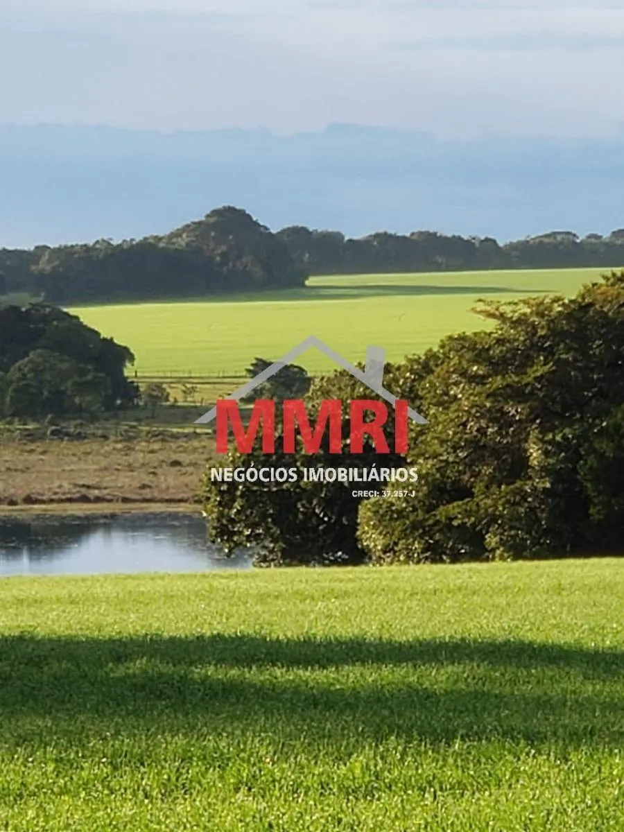 Fazenda à venda de 893 ha em Paranapanema, SP, Brasil