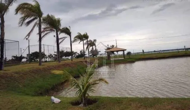 Fazenda à venda de 130 ha em Panorama, SP, Brasil