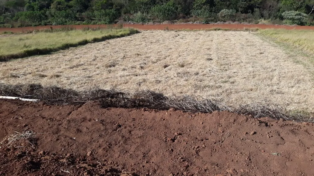 Plot for sale of 1,000 m² in Joanópolis, SP, Brazil