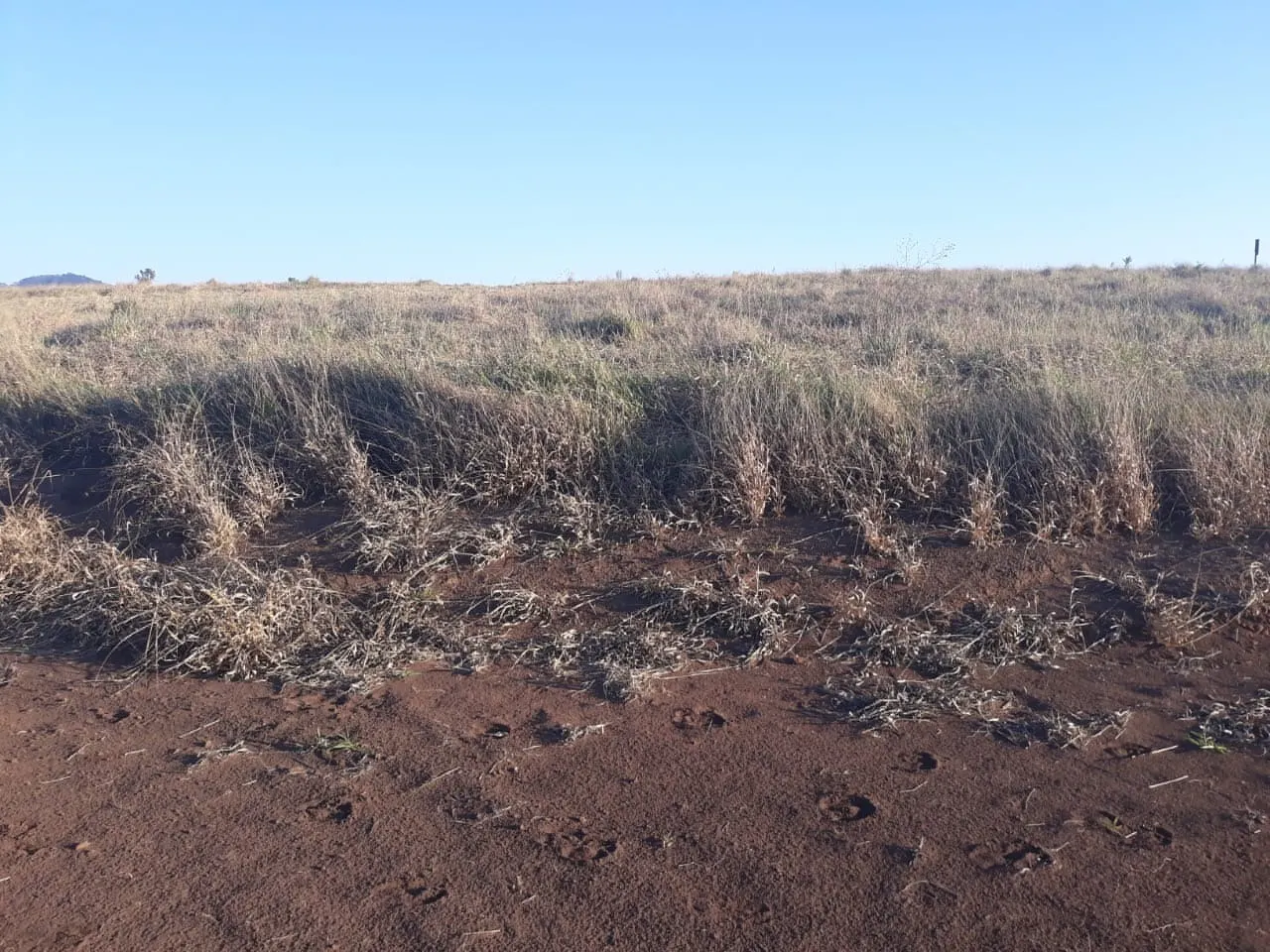 Plot for sale of 1,000 m² in Joanópolis, SP, Brazil