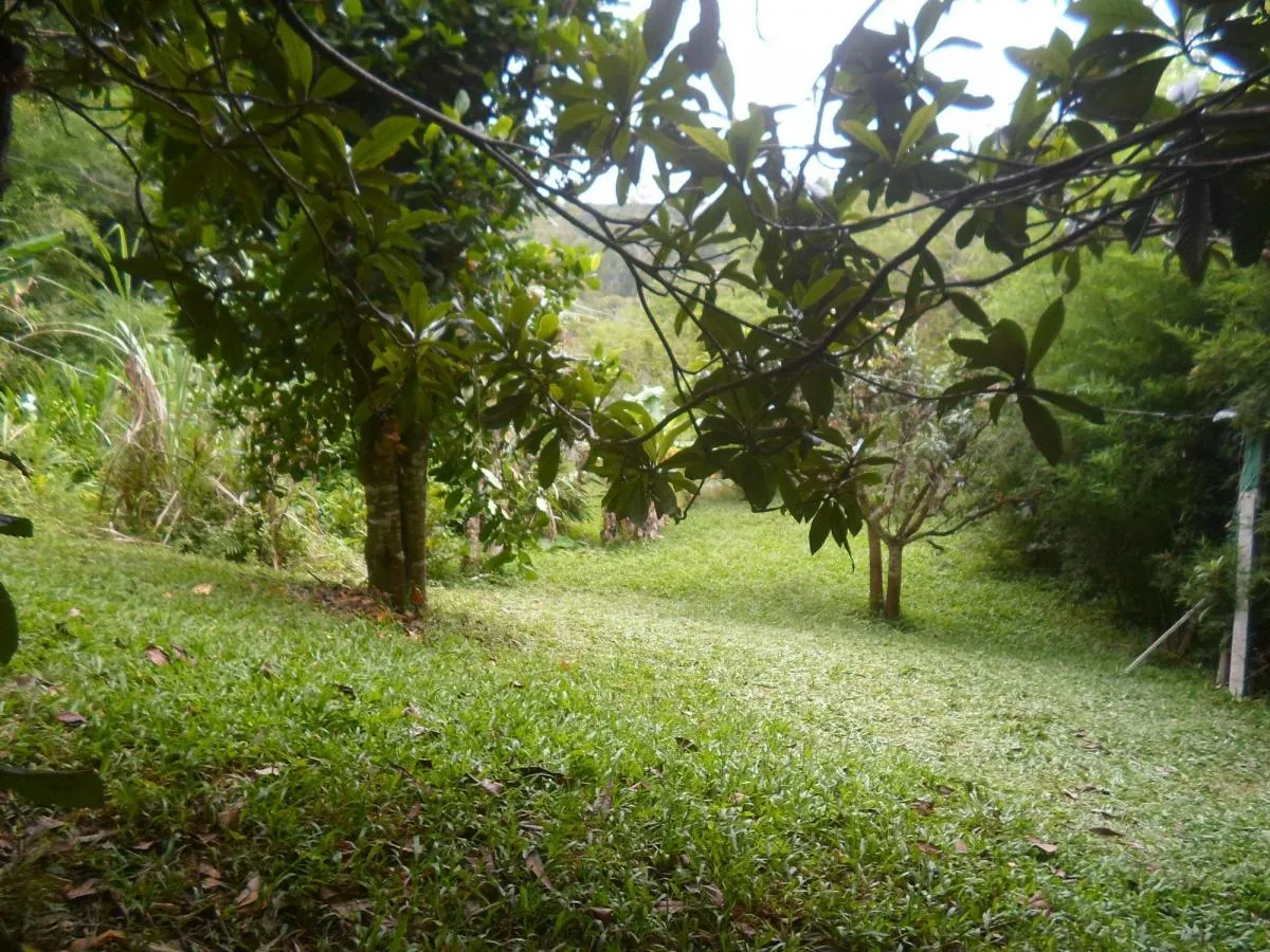 Chácara à venda de 1 ha em Itapecerica da Serra, SP, Brasil