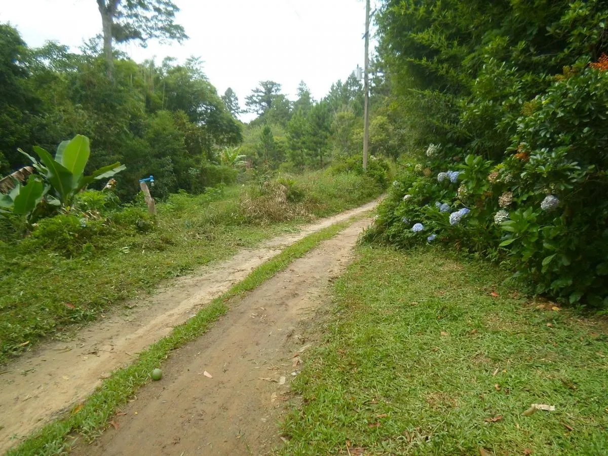 Chácara à venda de 1 ha em Itapecerica da Serra, SP, Brasil