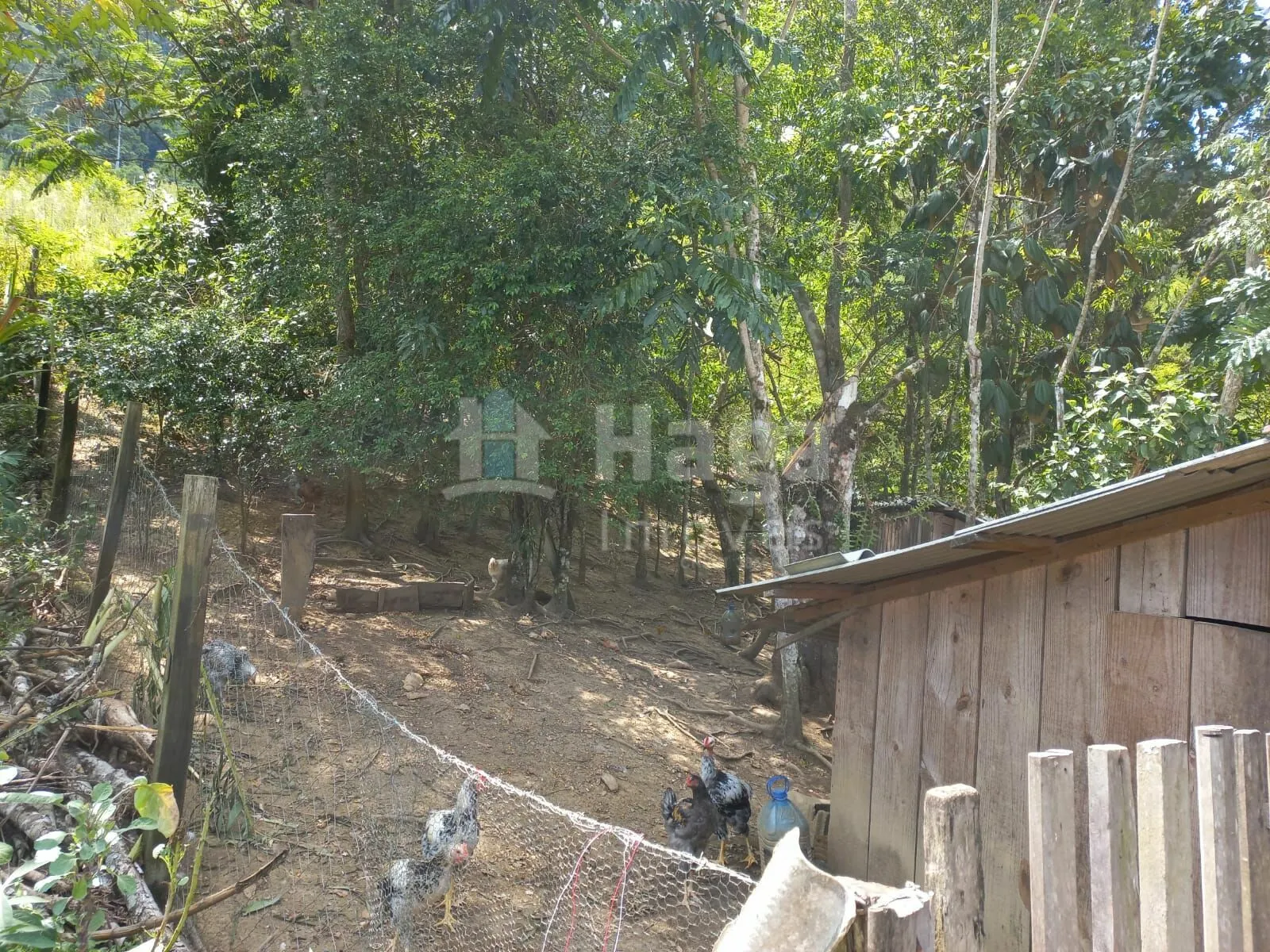 Chácara à venda de 1 ha em José Boiteux, SC, Brasil