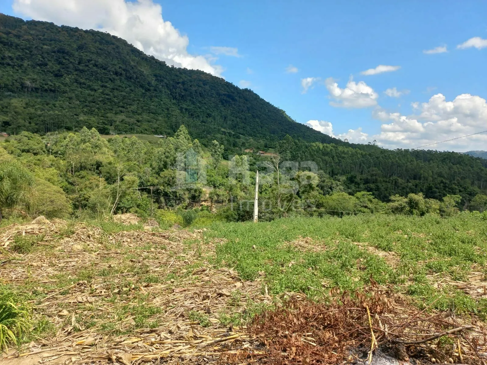 Chácara à venda de 1 ha em José Boiteux, SC, Brasil