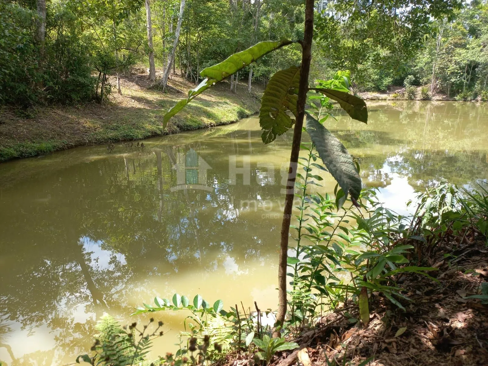Chácara à venda de 1 ha em José Boiteux, SC, Brasil