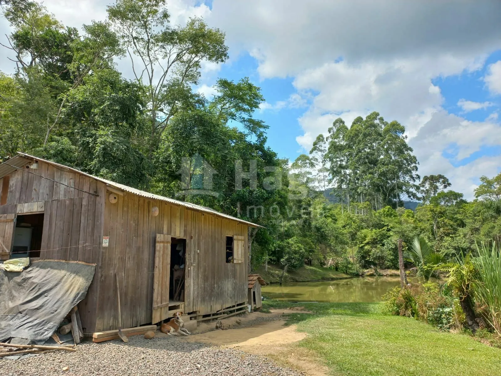 Chácara à venda de 1 ha em José Boiteux, SC, Brasil
