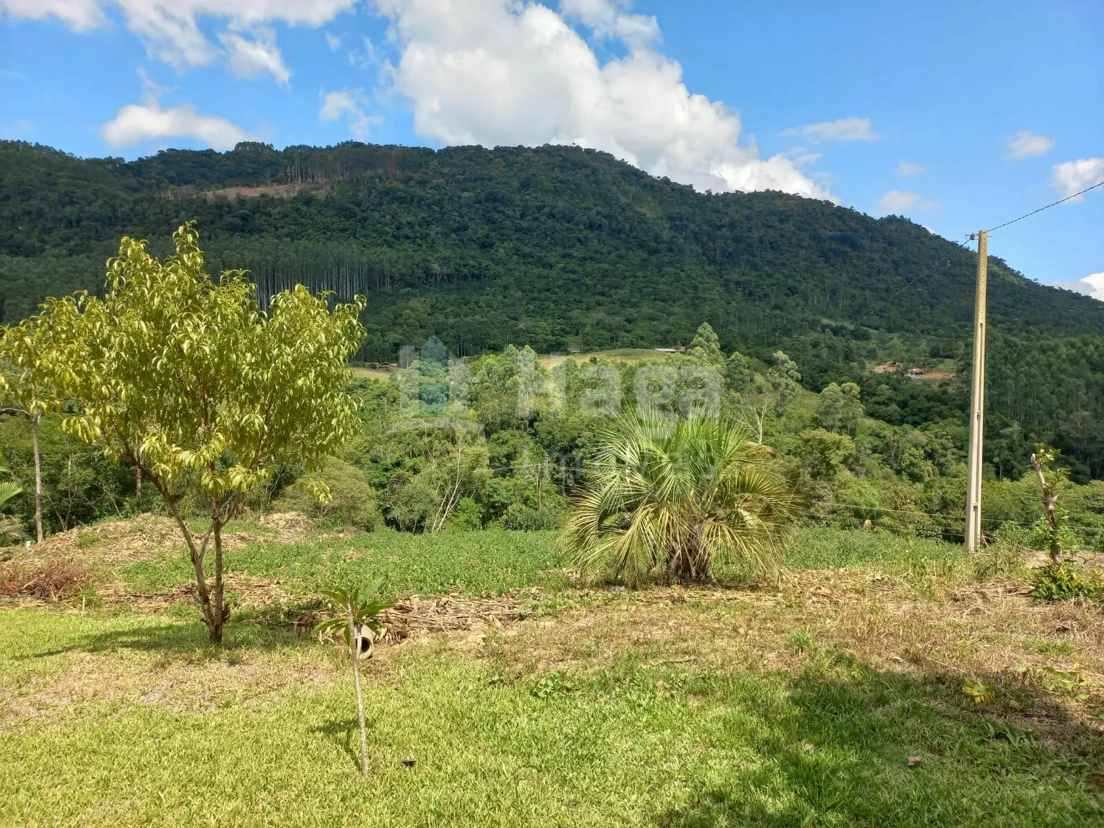 Chácara à venda de 1 ha em José Boiteux, SC, Brasil