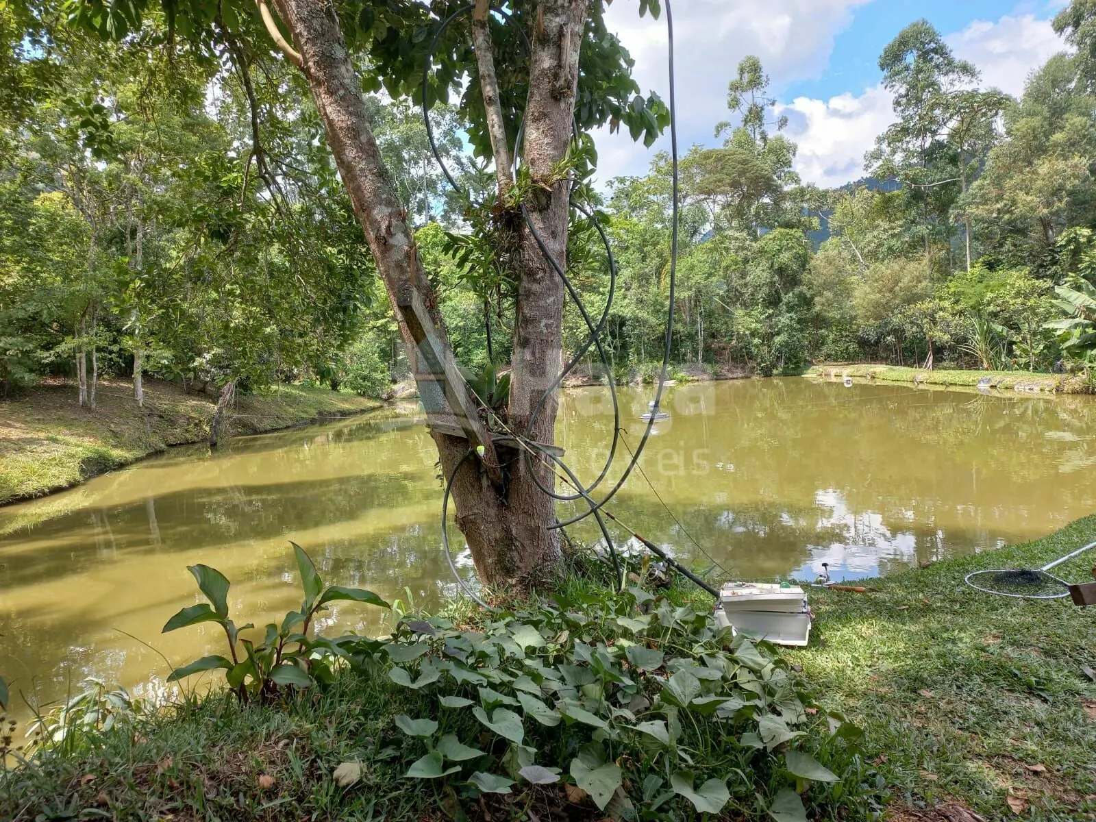 Chácara à venda de 1 ha em José Boiteux, SC, Brasil