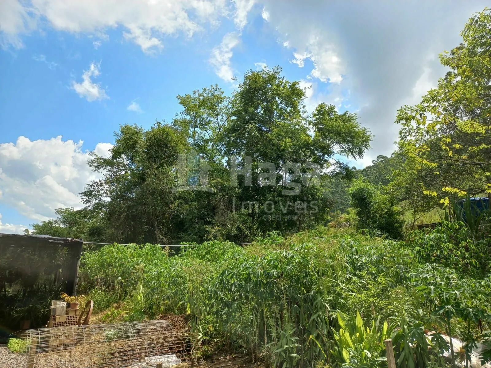 Chácara à venda de 1 ha em José Boiteux, SC, Brasil