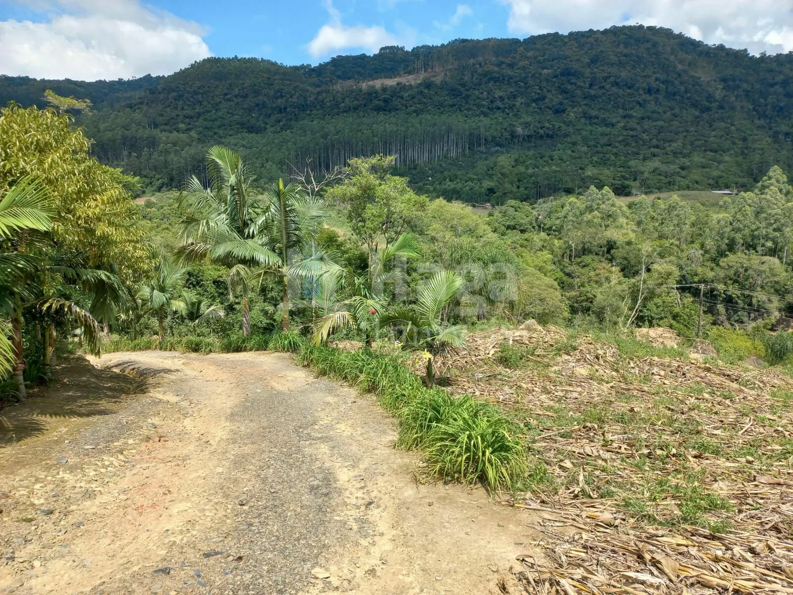 Chácara à venda de 1 ha em José Boiteux, SC, Brasil