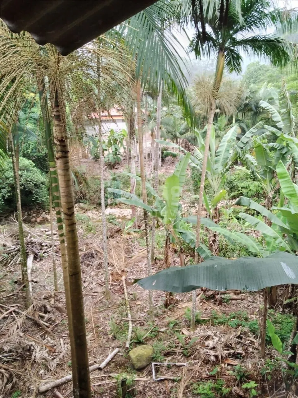 Country home for sale of 2,400 m² in Nova Trento, SC, Brazil