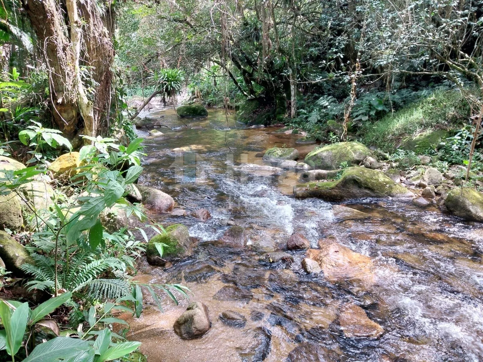 Country home for sale of 2,400 m² in Nova Trento, SC, Brazil