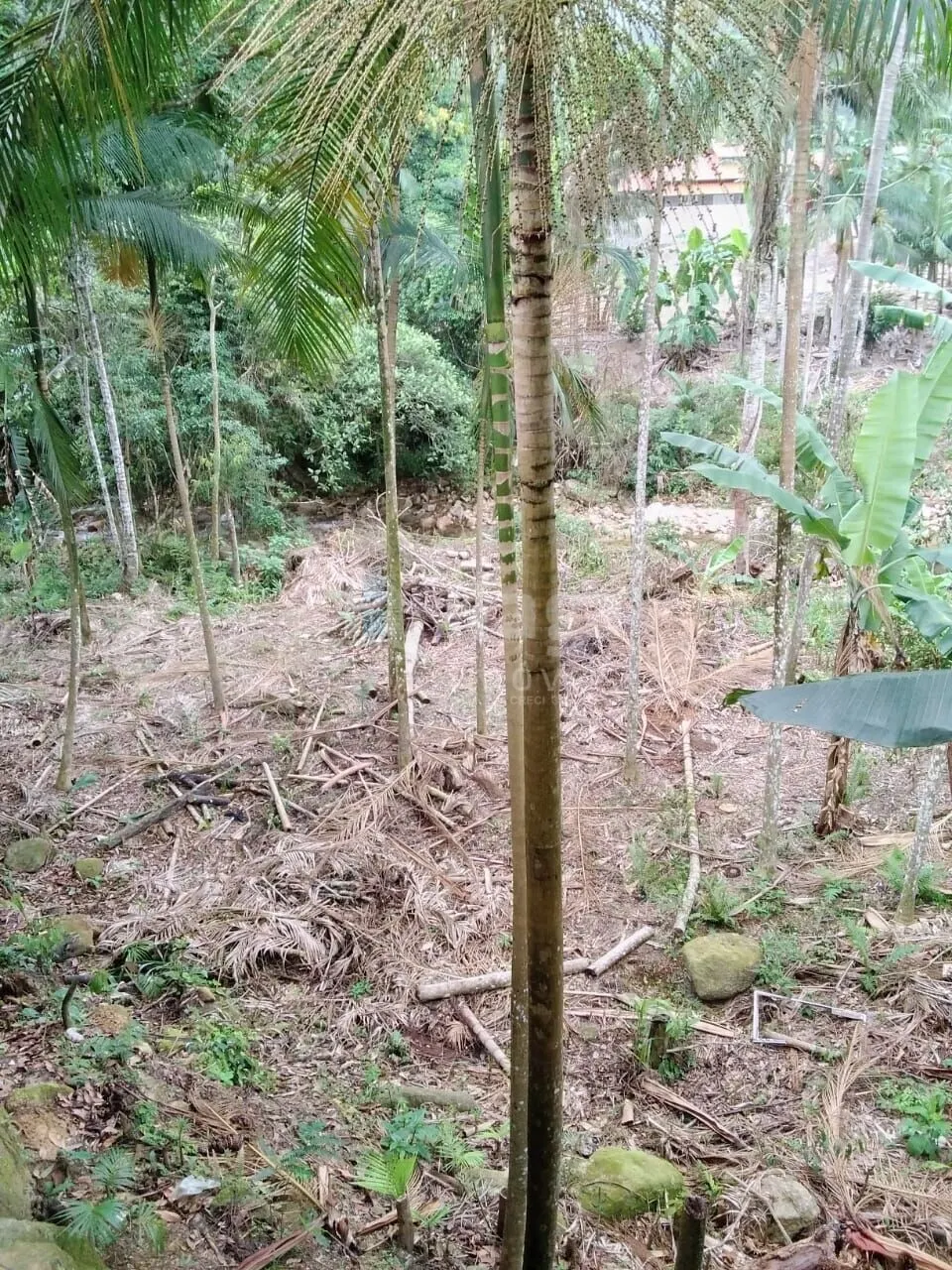 Country home for sale of 2,400 m² in Nova Trento, SC, Brazil
