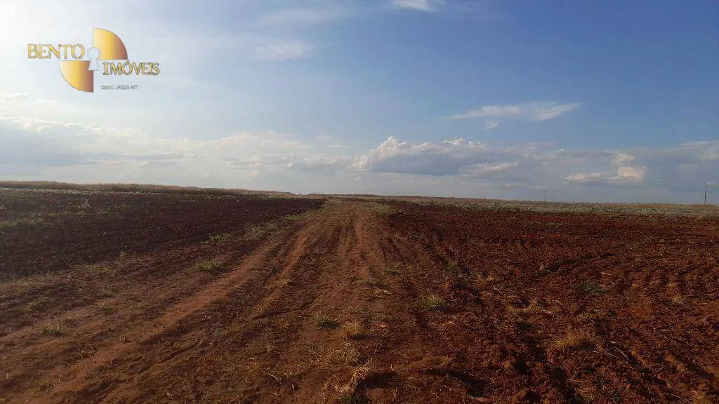 Fazenda à venda e para Arrendar de 9.000 ha em Tangará da Serra, MT, Brasil