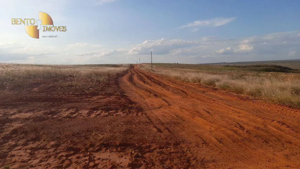 Farm for sale and to rent of 22,239 acres in Tangará da Serra, MT, Brazil